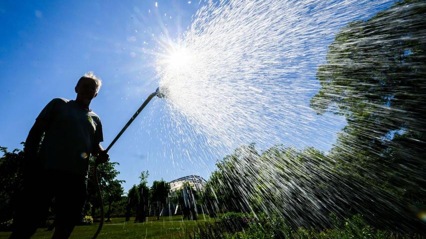 Auch in manchen Gärten ist der Wasserbedarf schon groß. Auch in manchen Gärten ist der Wasserbedarf schon groß.