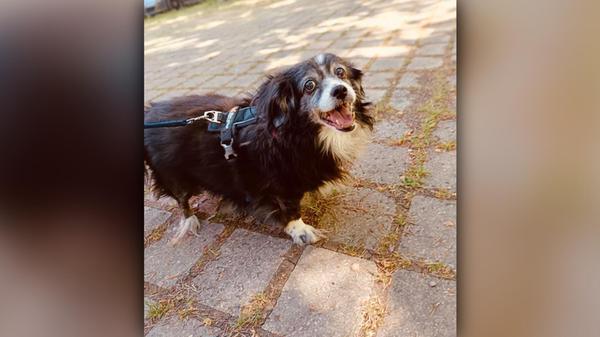 2025-05-17_13-12_bild_erweitern