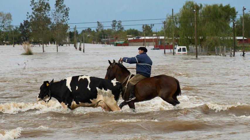 Die Provinz Buenos Aires ist eine bedeutende landwirtschaftliche Region. Die Provinz Buenos Aires ist eine bedeutende landwirtschaftliche Region.