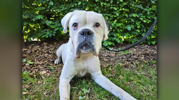 2025-05-18_20-21_bild_erweitern