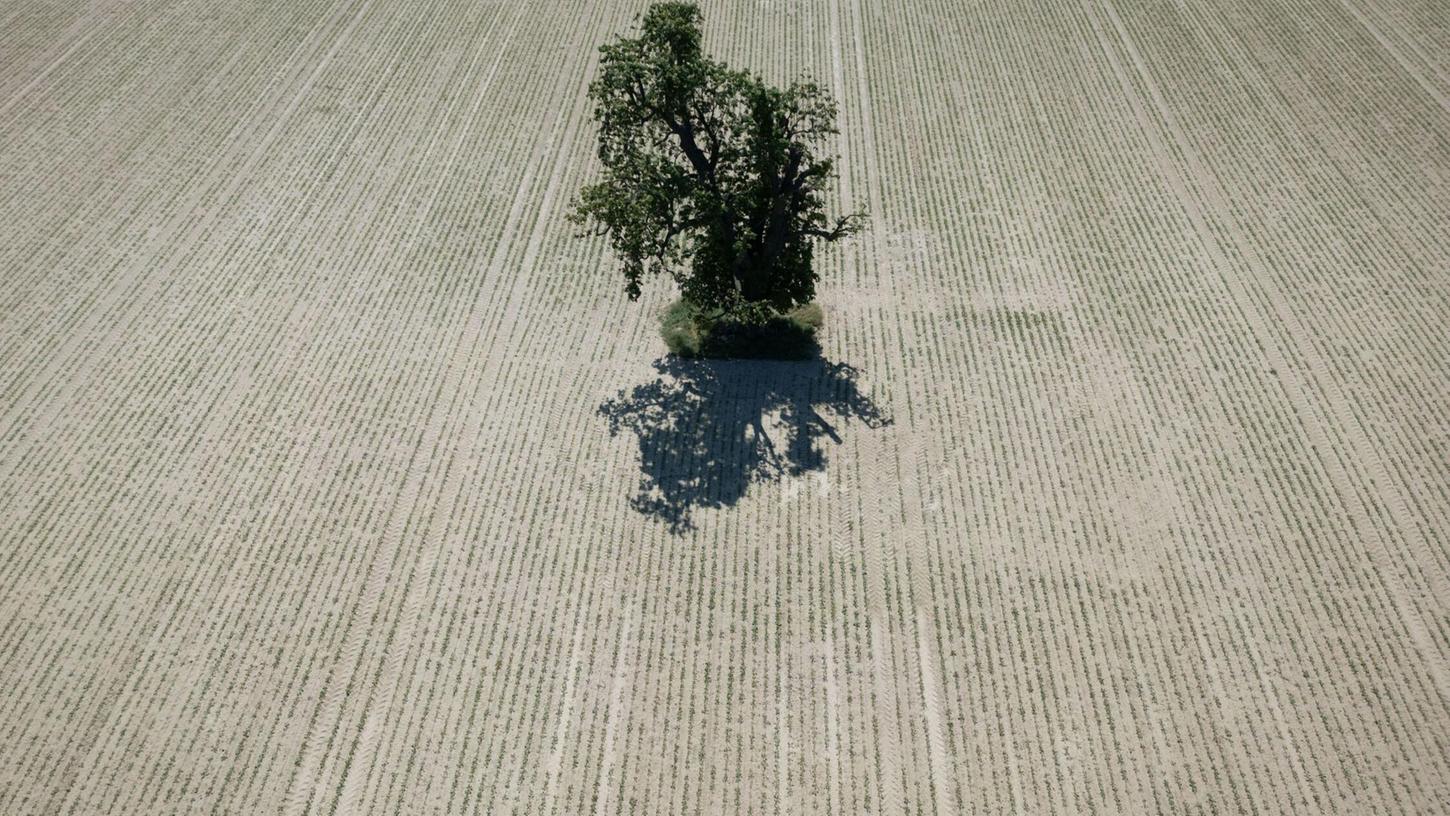 Weite Teile Europas leiden seit Jahren unter zunehmender Wasserknappheit. (Archivbild) Weite Teile Europas leiden seit Jahren unter zunehmender Wasserknappheit. (Archivbild)