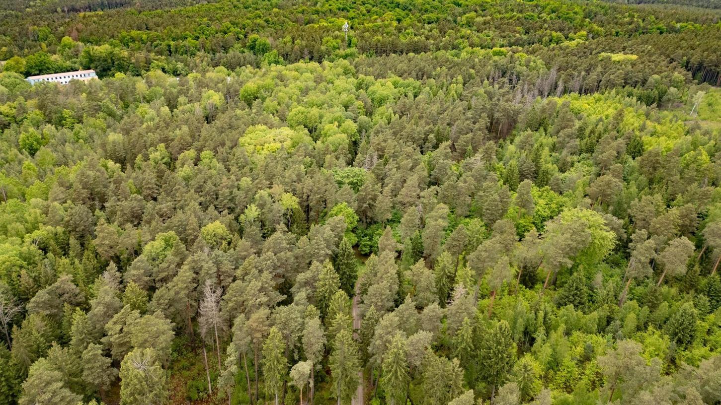 Junge Frau in Königsbrücker Heide gefunden - Jugendlicher unter Tatverdacht Junge Frau in Königsbrücker Heide gefunden - Jugendlicher unter Tatverdacht