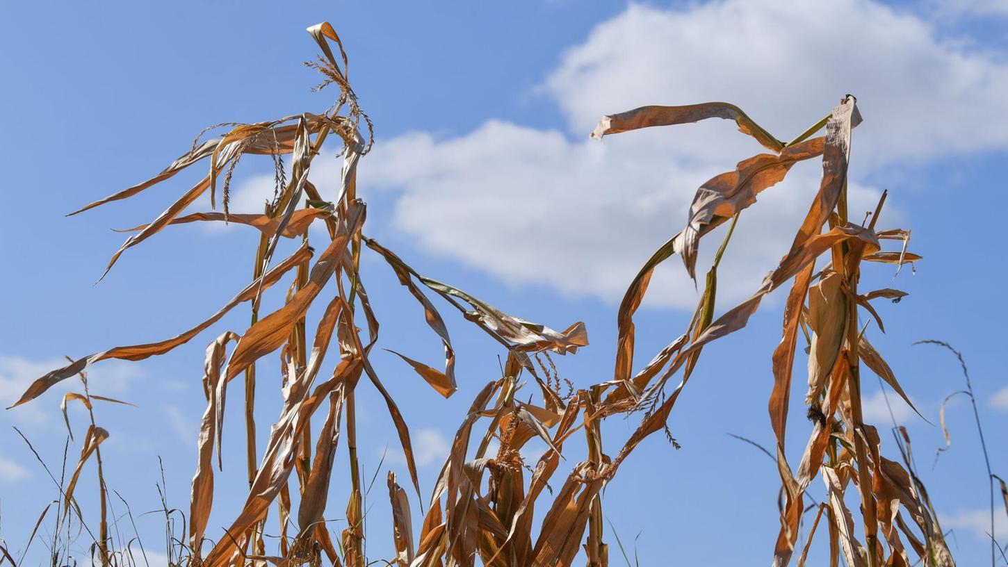 Langfristige Sommerprognosen von Wetterdiensten zeigen Tendenzen, liefern aber keine konkreten Vorhersagen für einzelne Tage oder Wochen. Langfristige Sommerprognosen von Wetterdiensten zeigen Tendenzen, liefern aber keine konkreten Vorhersagen für einzelne Tage oder Wochen.