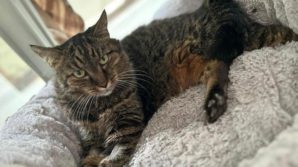 2025-05-21_11-48_bild_erweitern