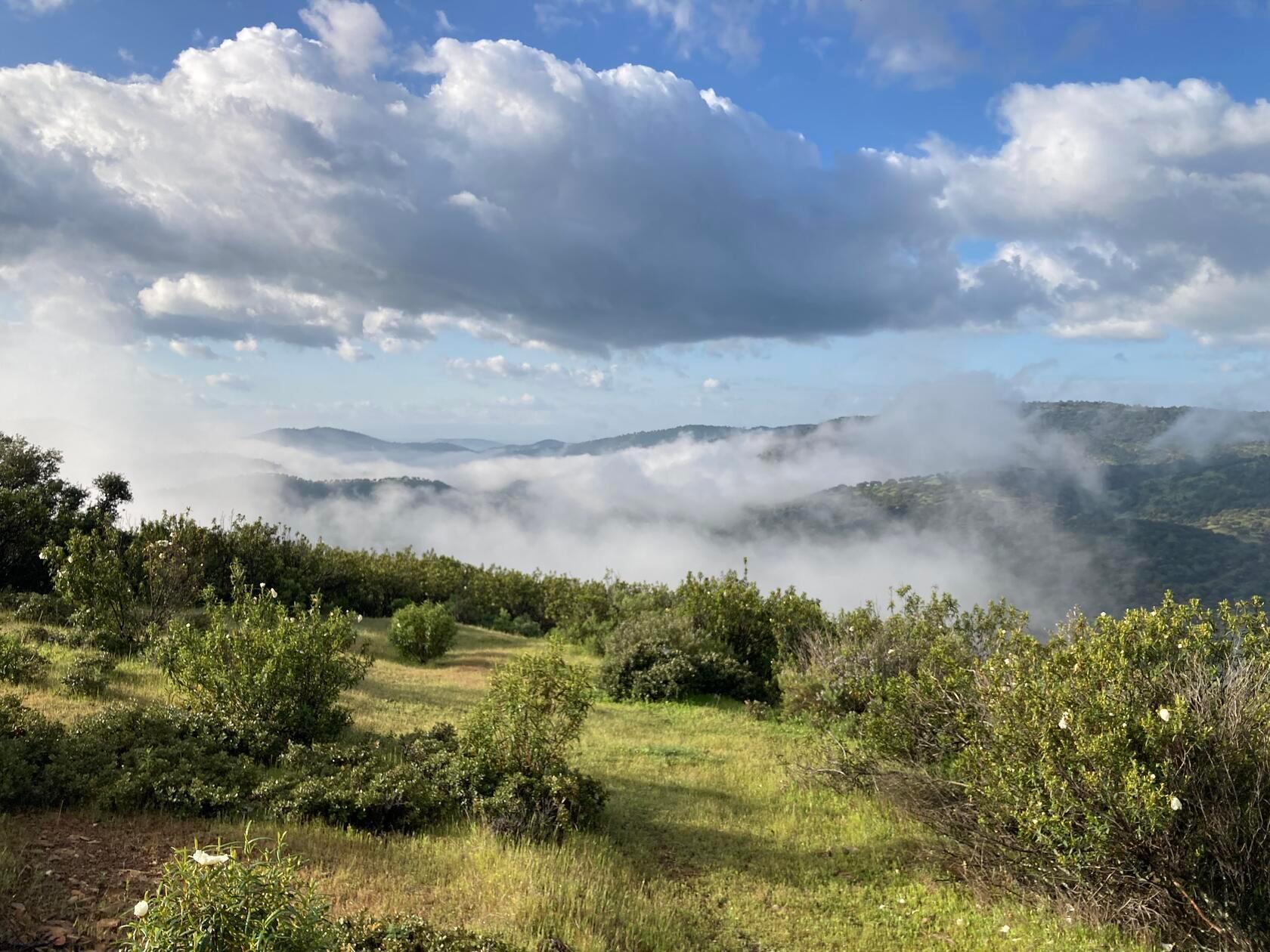 Das Mittelgebirge Sierra Morena ist für seine Nebelschwaden bekannt, die auch über die sie durchquerende Autobahn wabern.