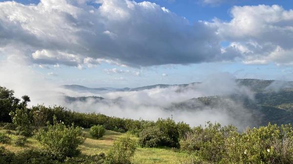 Das Mittelgebirge Sierra Morena ist für seine Nebelschwaden bekannt, die auch über die sie durchquerende Autobahn wabern.