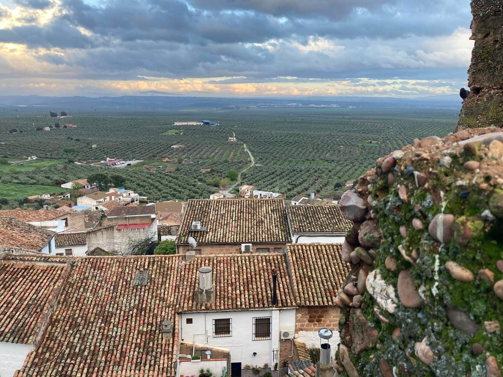 In die Region um Baños de la Encina gehört zu einem der größten Olivenanbaugebiet in Spanien. Aus den Oliven wird hauptsächlich Öl gewonnen.