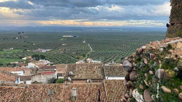 In die Region um Baños de la Encina gehört zu einem der größten Olivenanbaugebiet in Spanien. Aus den Oliven wird hauptsächlich Öl gewonnen.