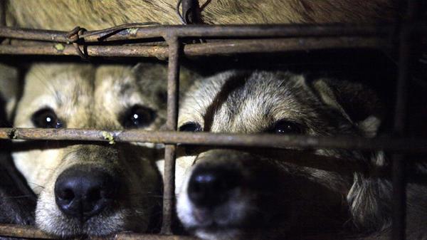 Bildnummer: 59307668 Datum: 05.03.2013 Copyright