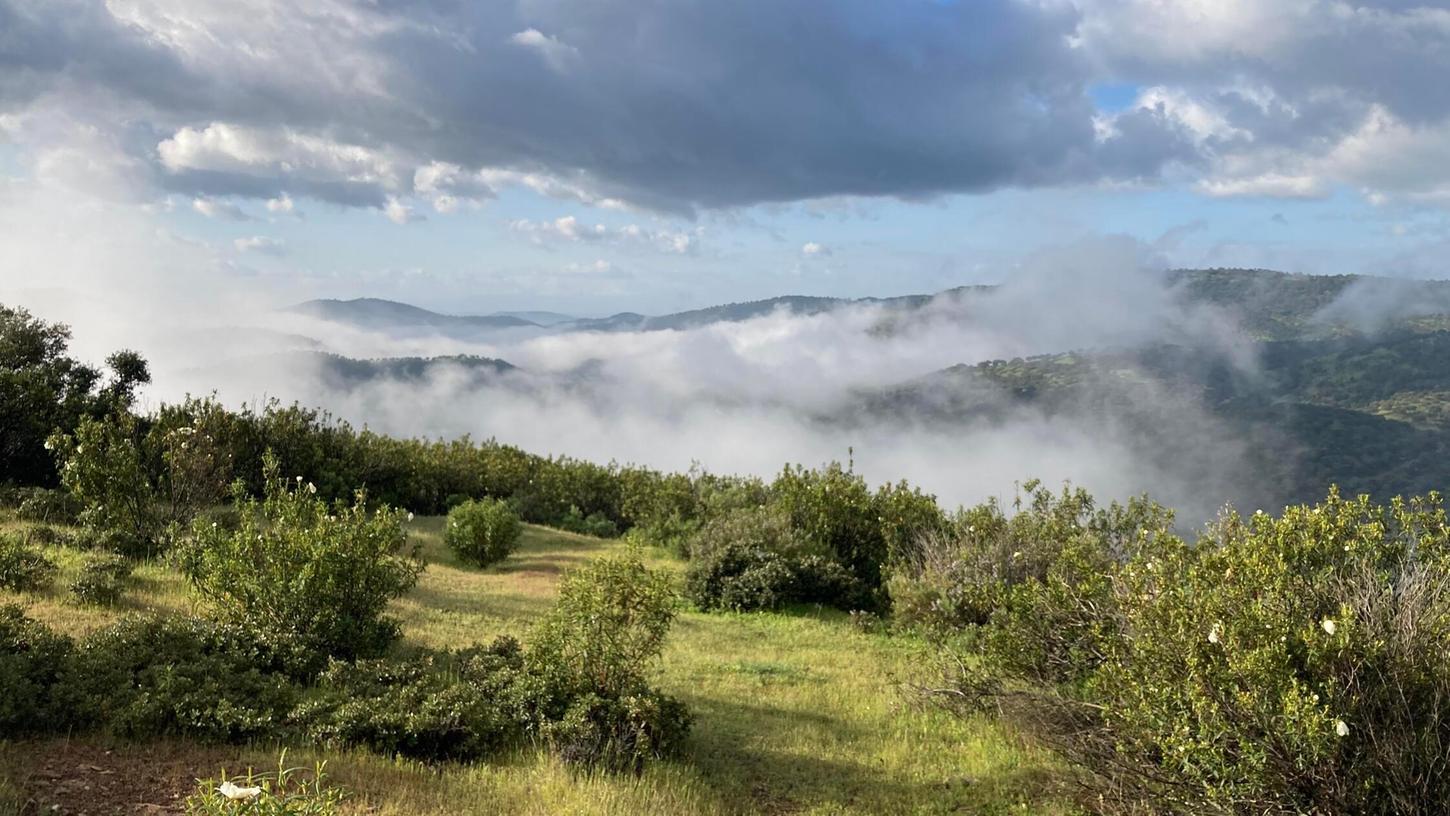 Das Mittelgebirge Sierra Morena ist für seine Nebelschwaden bekannt, die auch über die sie durchquerende Autobahn wabern. Hier befinden sich die Neuen Siedlungen der Deutschen. Das Mittelgebirge Sierra Morena ist für seine Nebelschwaden bekannt, die auch über die sie durchquerende Autobahn wabern. Hier befinden sich die Neuen Siedlungen der Deutschen.