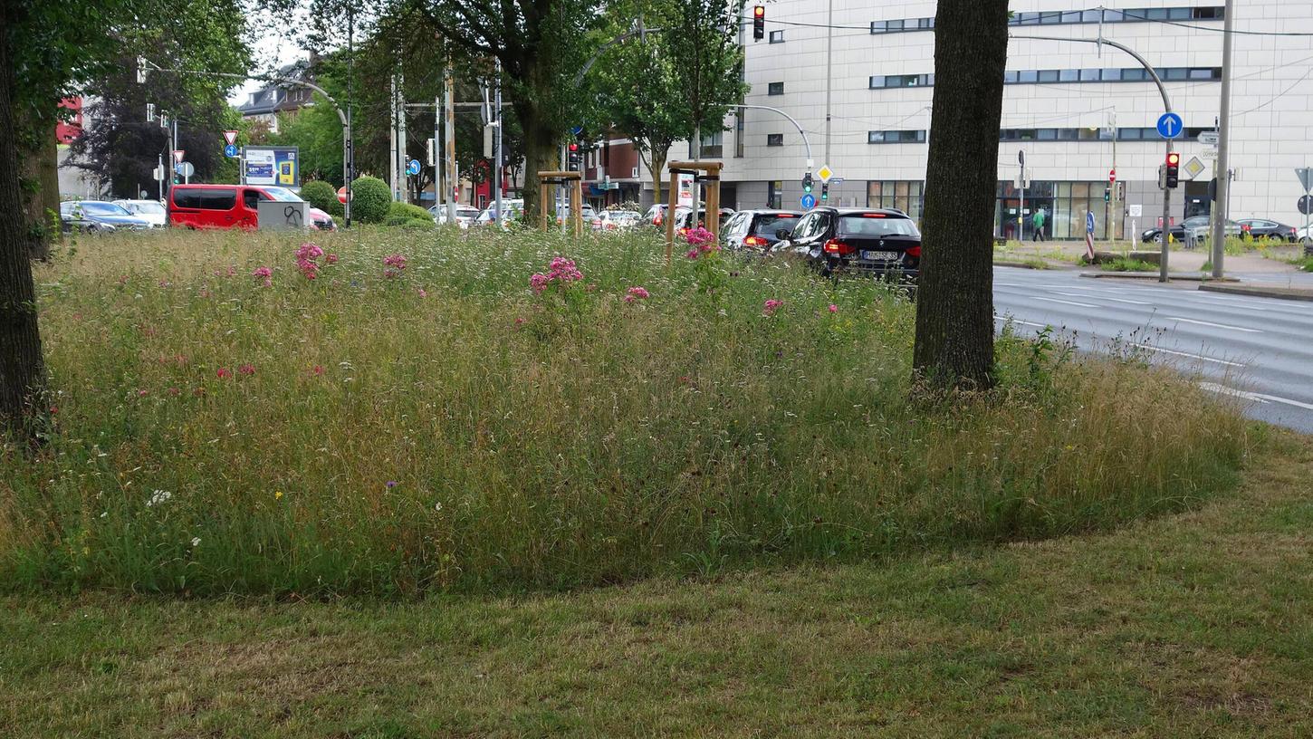 Plötzlich flach: Blühstreifen in der Stadt (Symbolbild) Plötzlich flach: Blühstreifen in der Stadt (Symbolbild)