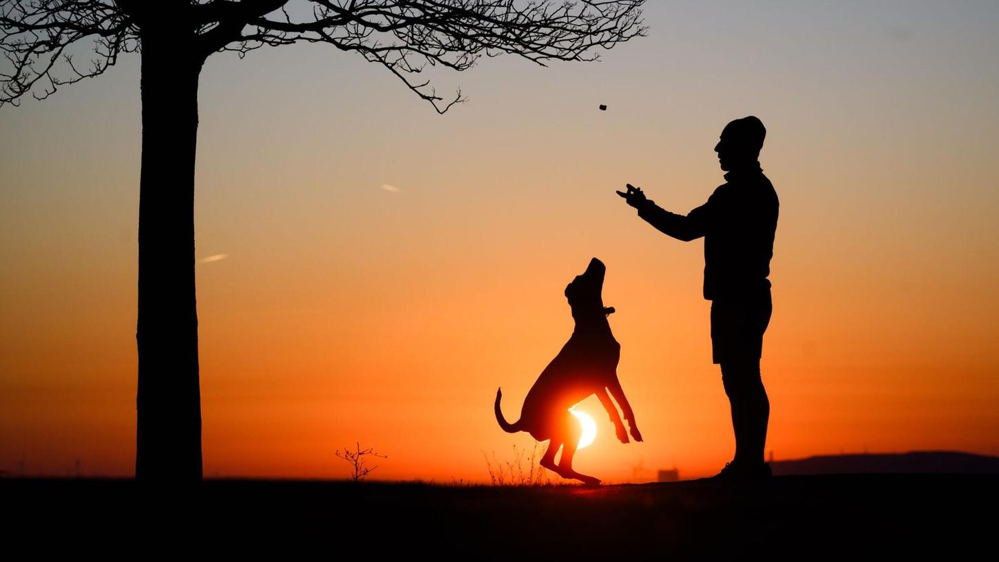 Hund statt Kind? Ganz so einfach ist es nicht. Hund statt Kind? Ganz so einfach ist es nicht.