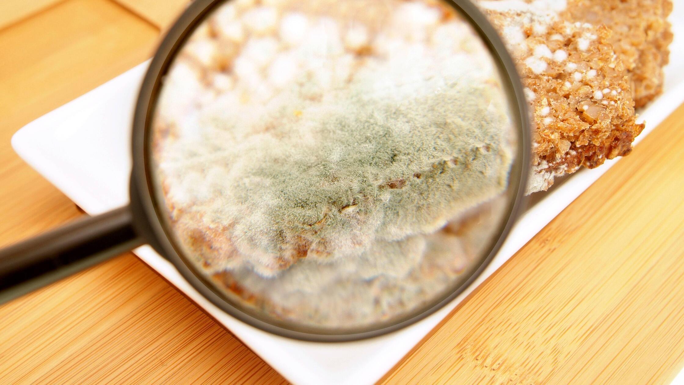 Lebensmittelkontrollen in Schwabach und Roth Pranger für Restaurants