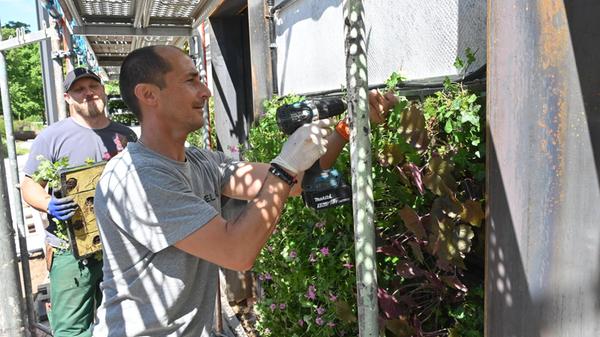 20250523_HaltestellengebaeudeBerlinerPlatz_2