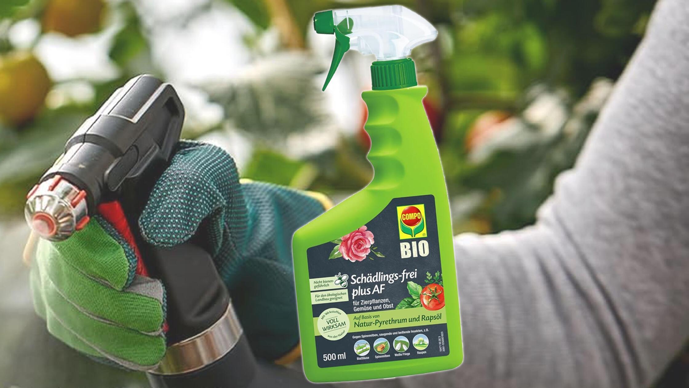 Natürlich stark gegen Schädlinge Compo Bio Schädlingsfrei gegen