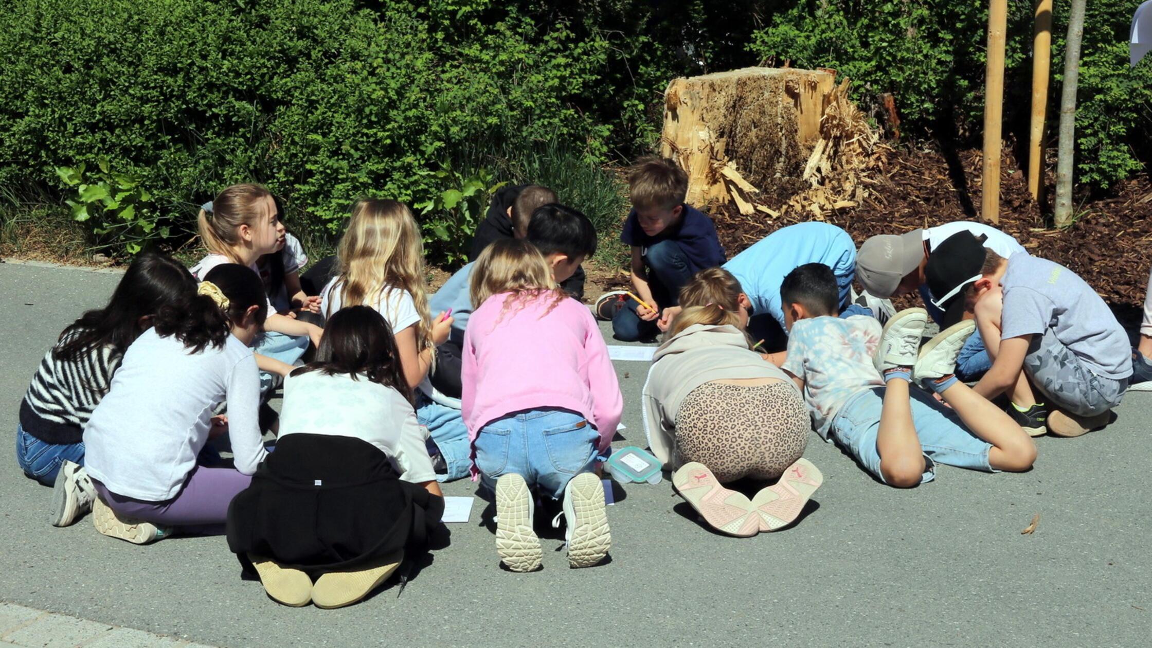 Wie lautet das Lösungswort?