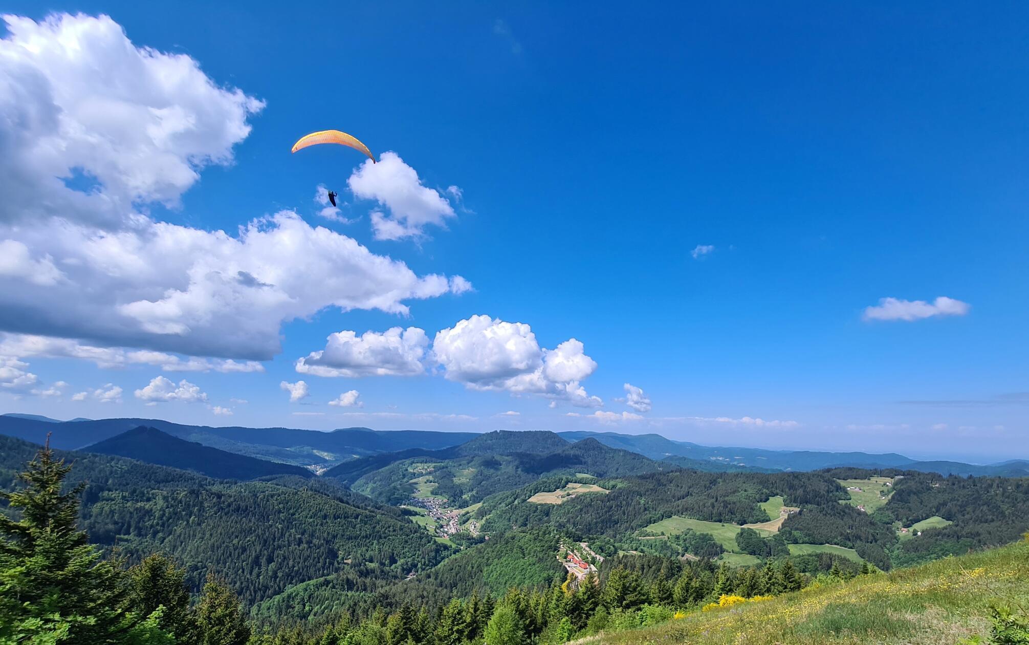 Blick über den Schwarzwald