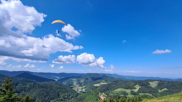 Blick über den Schwarzwald