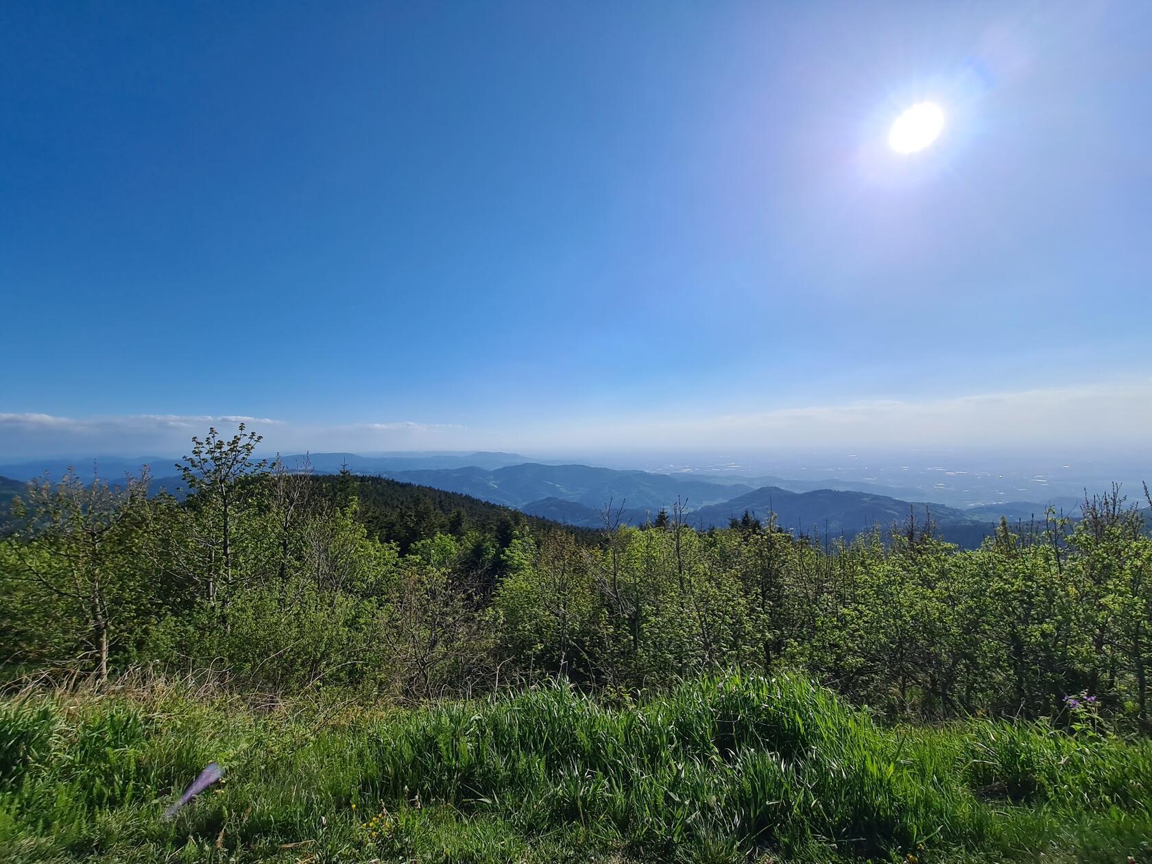 Grüner wird es nicht mehr: Der Schwarzwald ist heute durch Wälder geprägt. Das war aber nicht immer so.