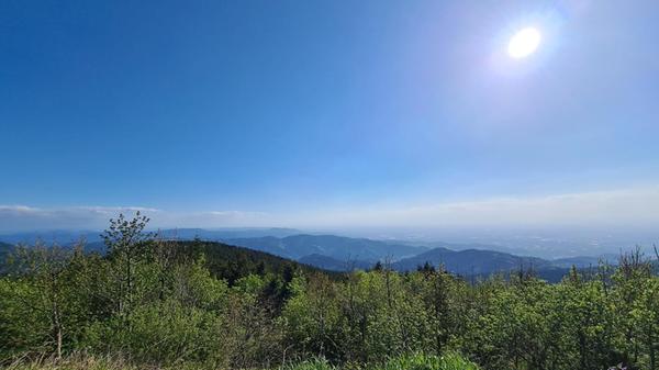 Grüner wird es nicht mehr: Der Schwarzwald ist heute durch Wälder geprägt. Das war aber nicht immer so.