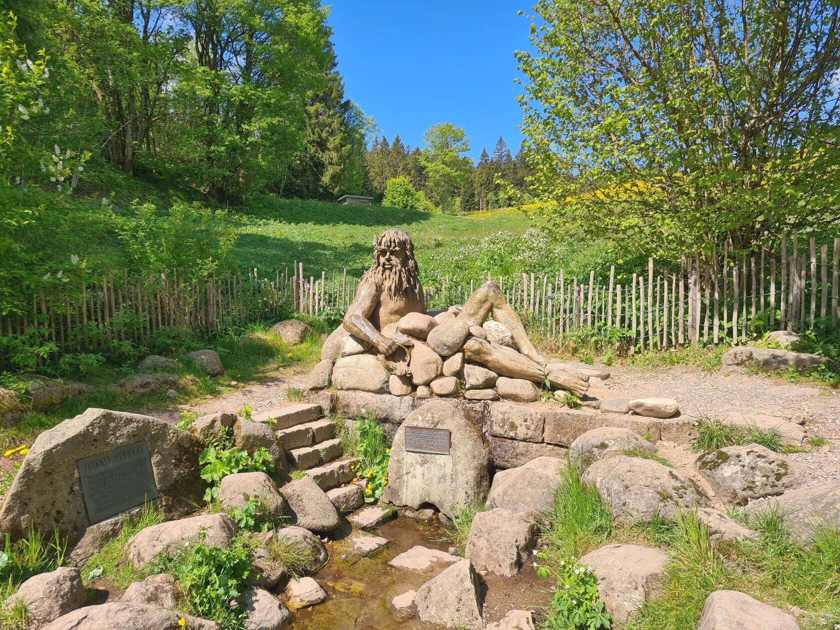 Im Schwarzwald entspringt eine der Donauquellen.