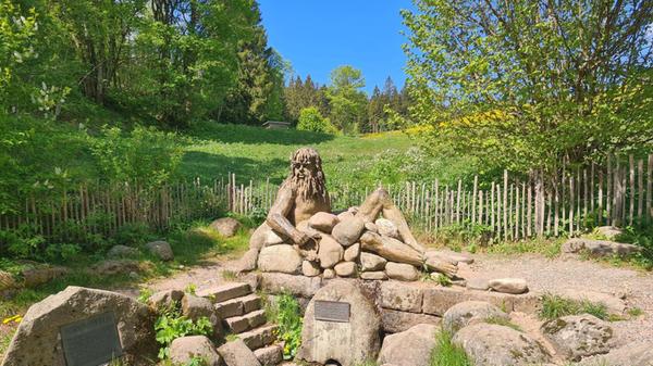 Im Schwarzwald entspringt eine der Donauquellen.