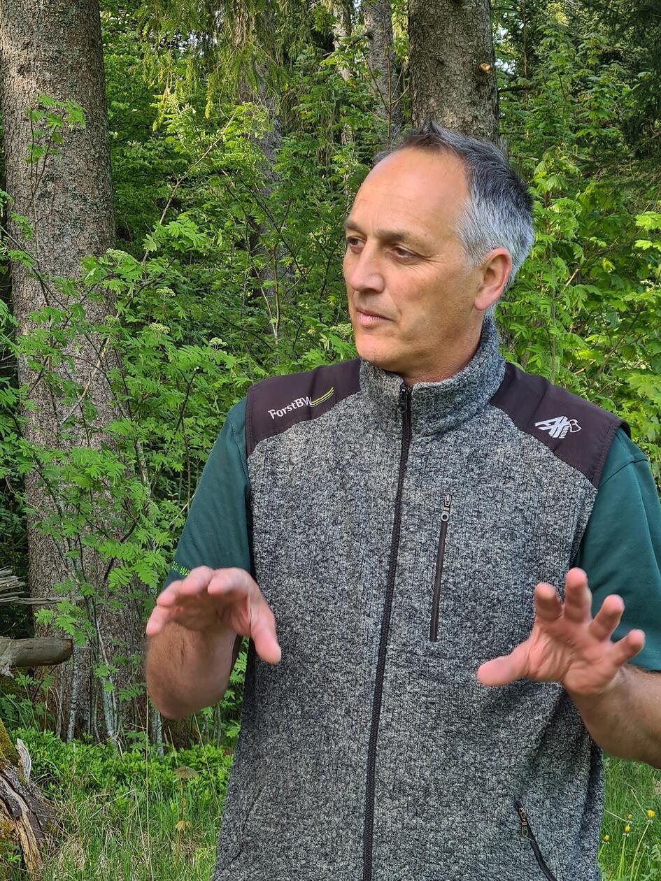 Förster Johannes von Stemm erklärt die Natur im Schwarzwald