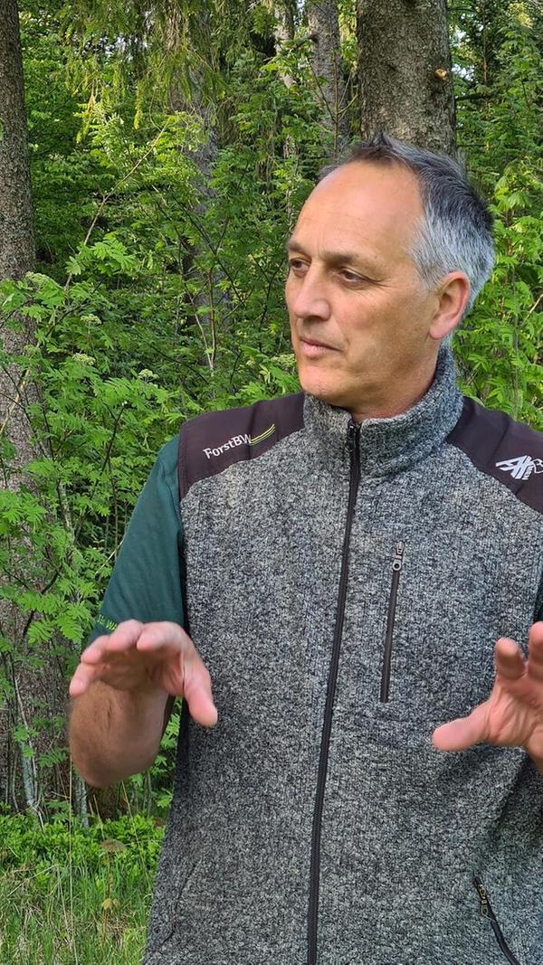 Förster Johannes von Stemm erklärt die Natur im Schwarzwald