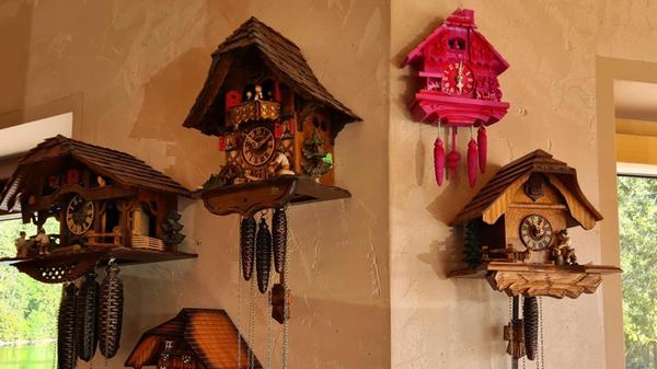 Tradition im Schwarzwald: Kuckucks-Uhren im Restaurant des Hotels Mummelsee.