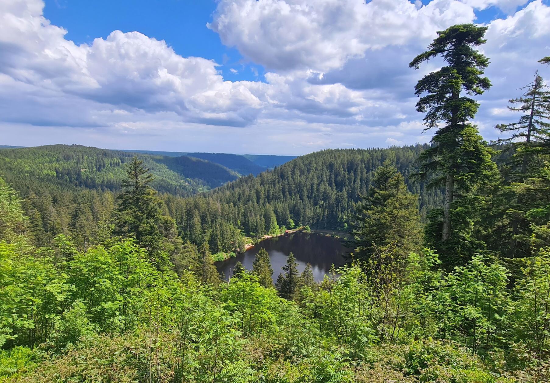 Der geheimnisvolle Glaswaldsee.