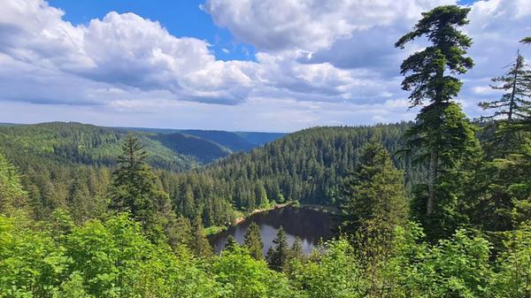 Der geheimnisvolle Glaswaldsee.