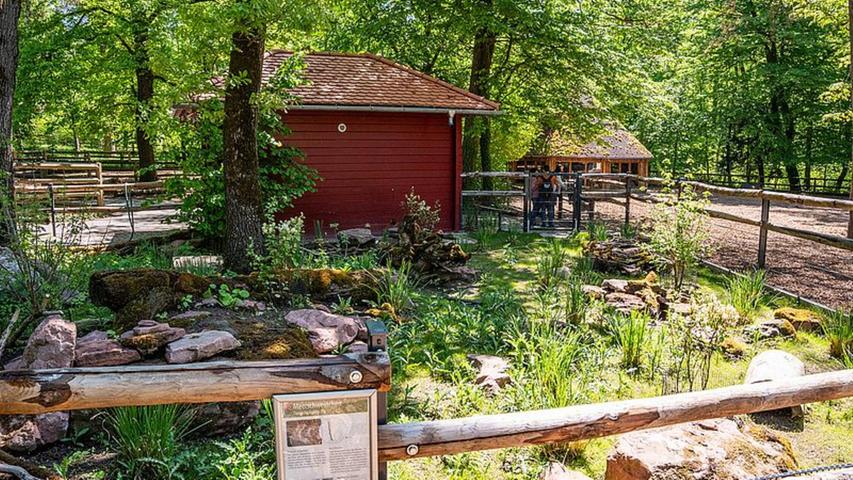 Im Tiergarten Nürnberg gibt es eine neue Meerschweinchenanlage. Im Tiergarten Nürnberg gibt es eine neue Meerschweinchenanlage.