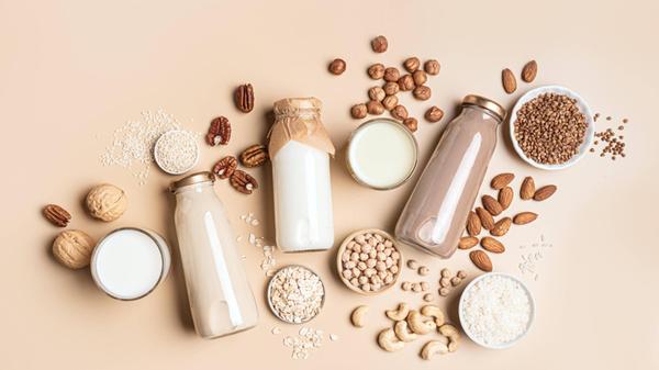 Verschiedene vegane Milch und Zutaten auf Pflanzen