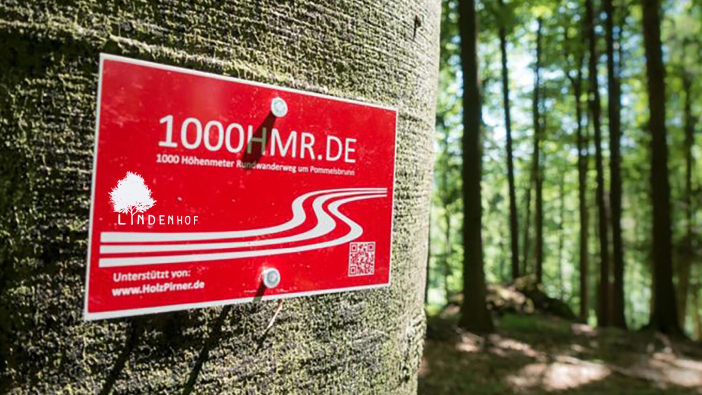 1000HMR-Pommelsbrunn_1