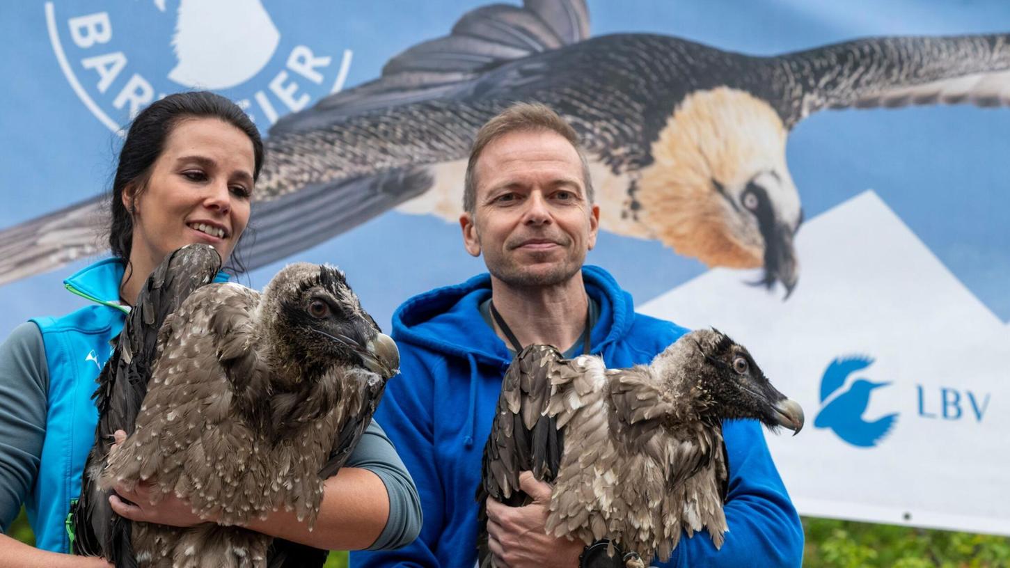 Großer Auftritt für große Vögel: Generl und Luisa. Großer Auftritt für große Vögel: Generl und Luisa.