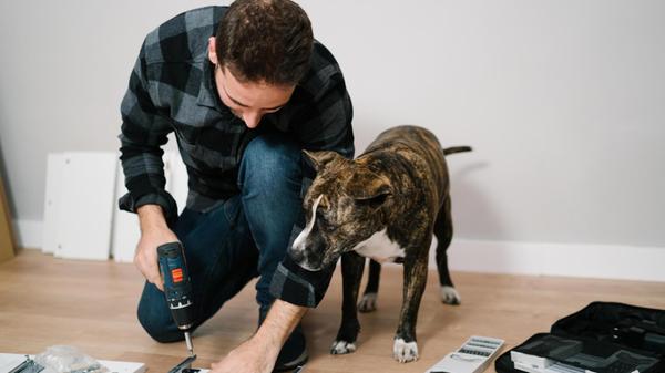 Portrait of young man and his dog assembling furni