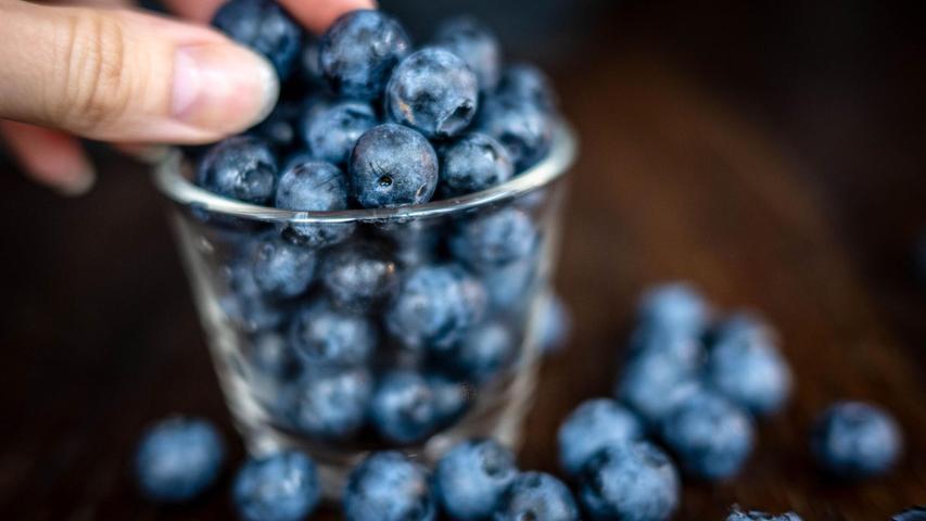 Klein, blau, erfolgreich als Snack: die Heidelbeere. Sie boomt immer noch. (Archivfoto) Klein, blau, erfolgreich als Snack: die Heidelbeere. Sie boomt immer noch. (Archivfoto)
