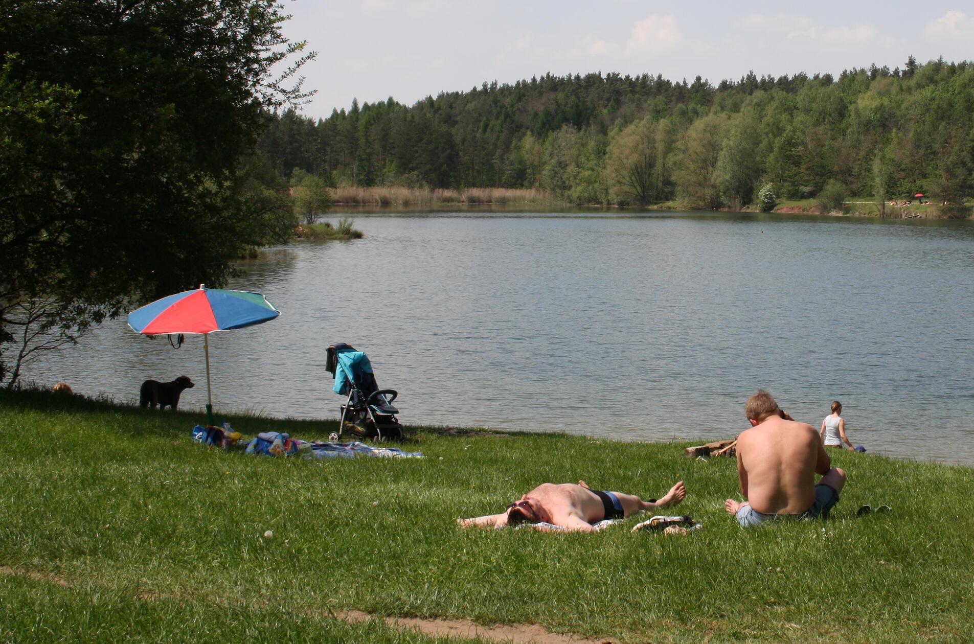 Der <b>Birkensee</b> gilt immer noch als Geheimtipp. Nachdem Sie Ihr Auto geparkt haben, müssen Sie 10 bis 20 Minuten Fußmarsch auf sich nehmen, bevor Sie am See ankommen. Gerade der östliche Teil ist beliebt. Komplett von Bäumen umrandet, liegt der Birkensee malerisch in der Landschaft. Der Südteil des Sees bietet hohes Gras, in dem Sie ungestörte liegen können. Für Snacks und Getränke ist vor allem am Wochenende gesorgt, denn ein mobiler Kiosk ist für das leibliche Wohl vor Ort. Der Birkensee wird auch von Nacktbadenden genutzt. 
Der Birkensee liegt im Naherholungsareal Röthenbach neben Diepersdorf im Landkreis Nürnberger Land. Am schnellsten erreichen Sie den See über die B14, die Äußere Bayreuther Straße oder die Laufamholzstraße.