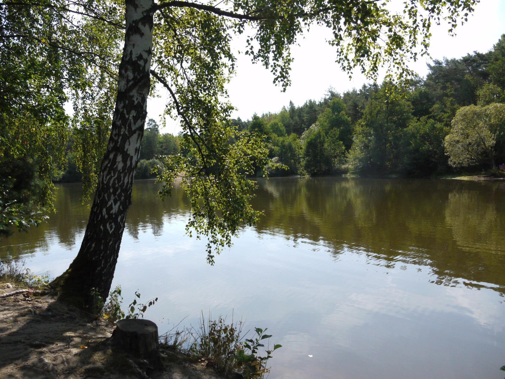 In der Nähe von Feucht, circa 30 Minuten mit dem Auto von Nürnberg entfernt, befinden sich der <b>Jägersee</b> - eigentlich sind das zwei Seen, die durch einen schmalen Uferstreifen voneinander getrennt sind. An diesen Baggerseen können Sie definitiv einen schönen Nachmittag verbringen.
Wer mit dem Auto kommt, muss etwa eine Viertelstunde durch den Wald hinlaufen. Bequemer hat man es, wenn man mit dem Fahrrad hinfährt.