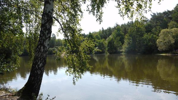 In der Nähe von Feucht, circa 30 Minuten mit dem Auto von Nürnberg entfernt, befinden sich der <b>Jägersee</b> - eigentlich sind das zwei Seen, die durch einen schmalen Uferstreifen voneinander getrennt sind. An diesen Baggerseen können Sie definitiv einen schönen Nachmittag verbringen.
Wer mit dem Auto kommt, muss etwa eine Viertelstunde durch den Wald hinlaufen. Bequemer hat man es, wenn man mit dem Fahrrad hinfährt.
