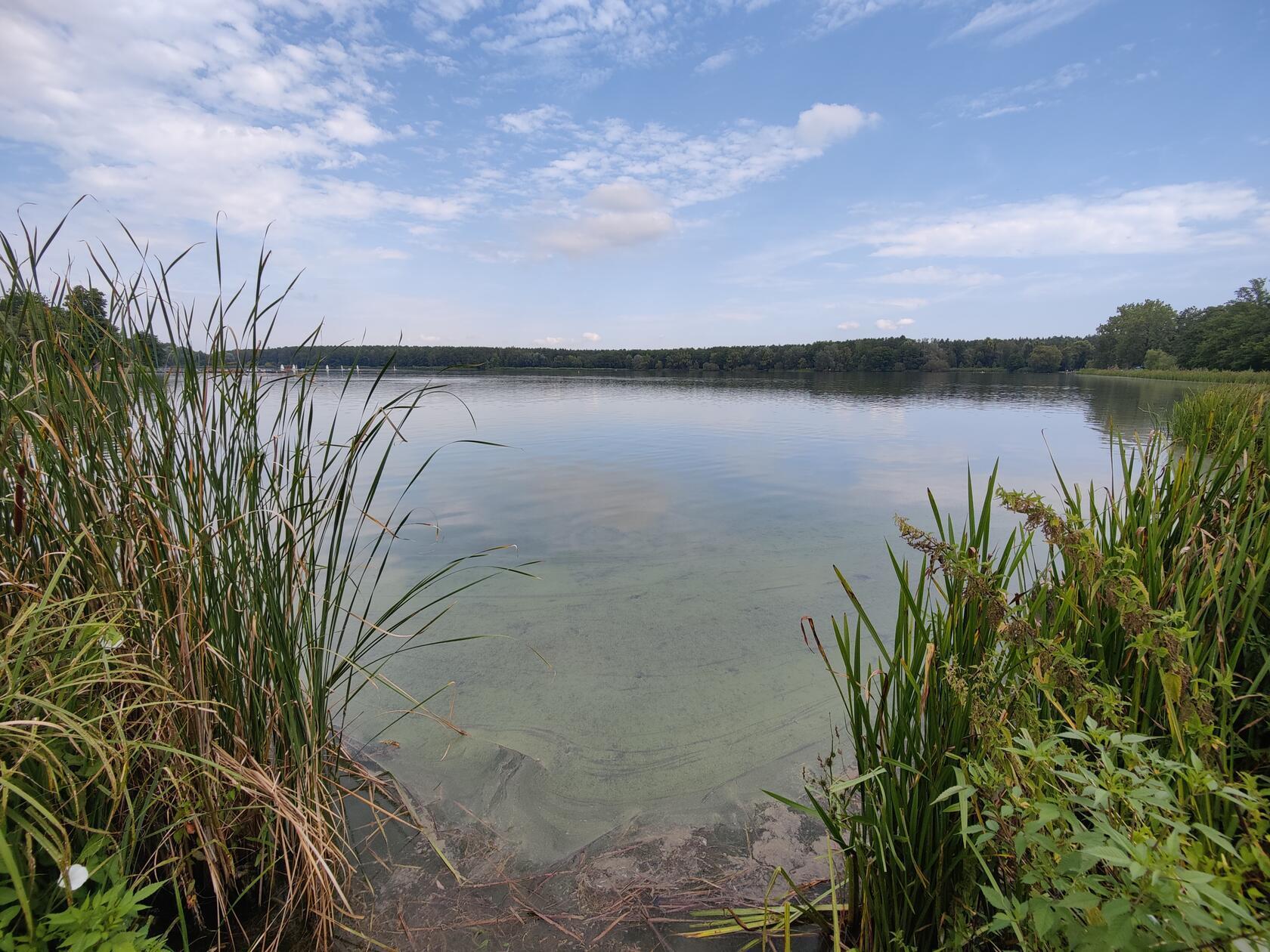 Der <b>Dechsendorfer Weiher</b> oder auch Großer Bischofsweiher genannt, gehört für alle aus dem Umkreis Erlangen zu einem beliebten Badesee und ist nicht weit vom Baggersee in Baiersdorf entfernt. Mit einem Grillplatz, sanitären Anlagen, Kiosken und Restaurants um den Weiher, ist er für Sie und Ihre Freunde genau der richtige Ort für eine Abkühlung.
Die Anfahrt zum Dechsendorfer Weiher ist am einfachsten über die A73 bis zur Ausfahrt Erlangen-Nord. Von dort aus sind es noch 10 Minuten in Richtung Heßdorf.