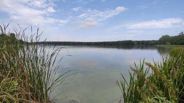 Der <b>Dechsendorfer Weiher</b> oder auch Großer Bischofsweiher genannt, gehört für alle aus dem Umkreis Erlangen zu einem beliebten Badesee und ist nicht weit vom Baggersee in Baiersdorf entfernt. Mit einem Grillplatz, sanitären Anlagen, Kiosken und Restaurants um den Weiher, ist er für Sie und Ihre Freunde genau der richtige Ort für eine Abkühlung.
Die Anfahrt zum Dechsendorfer Weiher ist am einfachsten über die A73 bis zur Ausfahrt Erlangen-Nord. Von dort aus sind es noch 10 Minuten in Richtung Heßdorf.