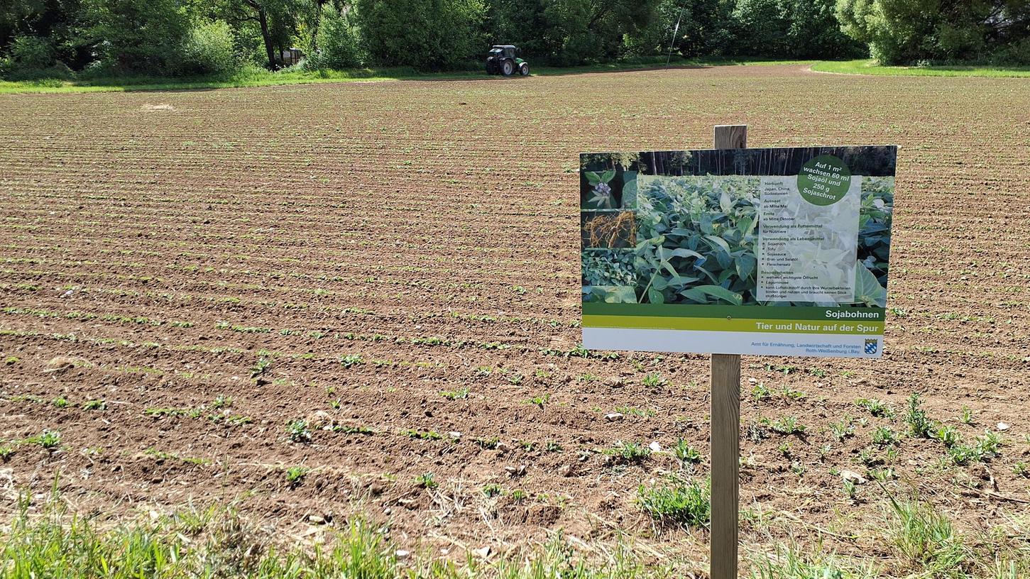 Acht solcher Feldschilder stehen seit einiger Zeit in der Gemeinde Burgthann und informieren die Verbraucher. Acht solcher Feldschilder stehen seit einiger Zeit in der Gemeinde Burgthann und informieren die Verbraucher.
