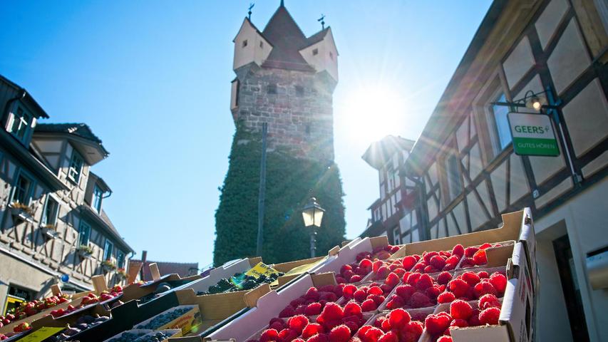 Erfolgsmodell wird fortgeschrieben: Ideen für Herzogenaurachs Wochenmarkt vorgestellt Erfolgsmodell wird fortgeschrieben: Ideen für Herzogenaurachs Wochenmarkt vorgestellt