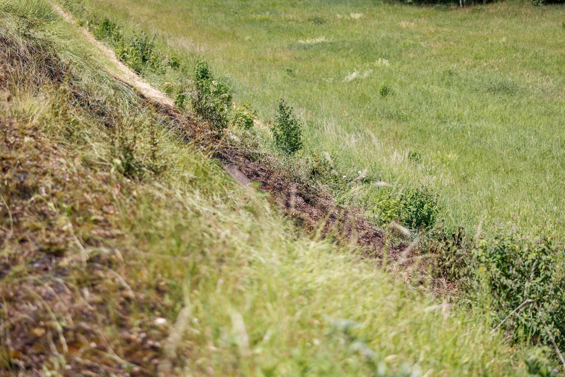 Die Erlanger Feuerwehr konnte das Feuer schnell unter Kontrolle bringen, der Verkehr staute sich dennoch. Inzwischen ist die Strecke wieder freigegeben.
