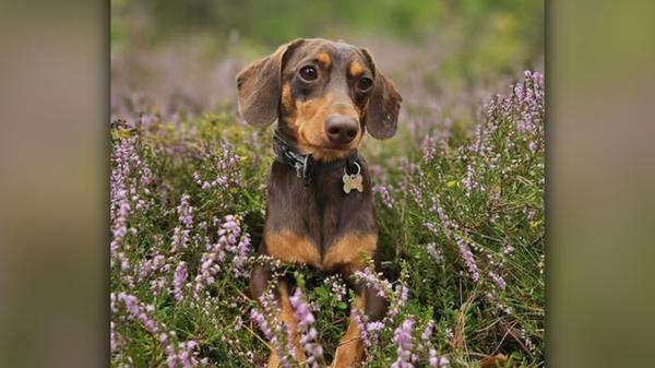 2025-06-01_10-33_bild_erweitern