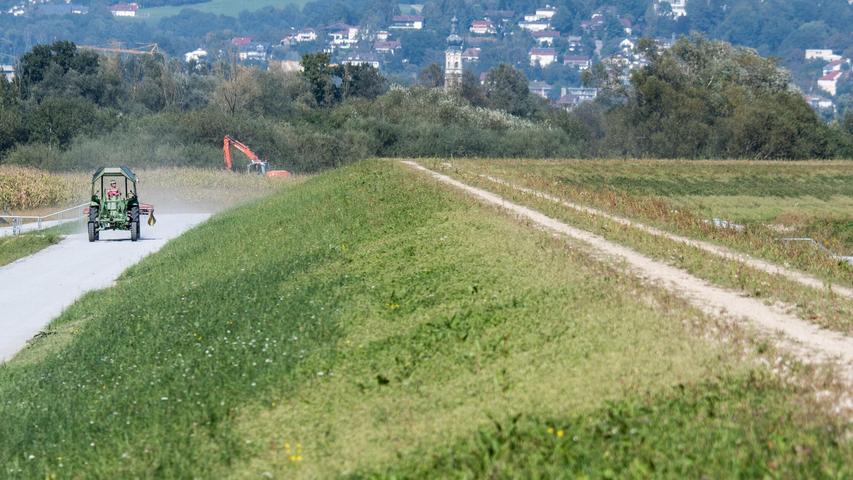 Unglaubliche Szene nahe Neustadt/Aisch: Traktorfahrer will Frau und Hundewelpen überrollen Unglaubliche Szene nahe Neustadt/Aisch: Traktorfahrer will Frau und Hundewelpen überrollen