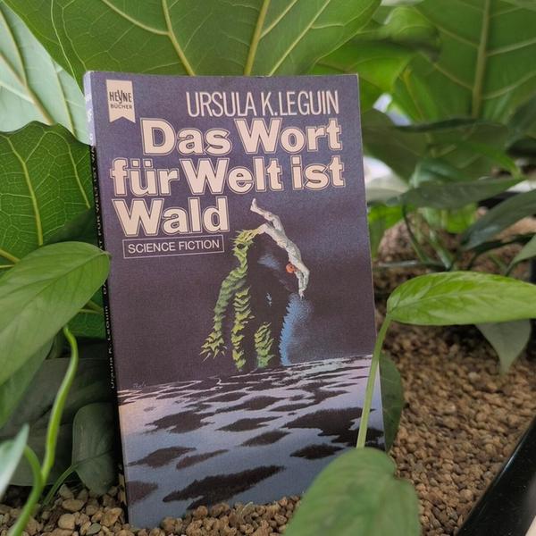 Mehr entdecken