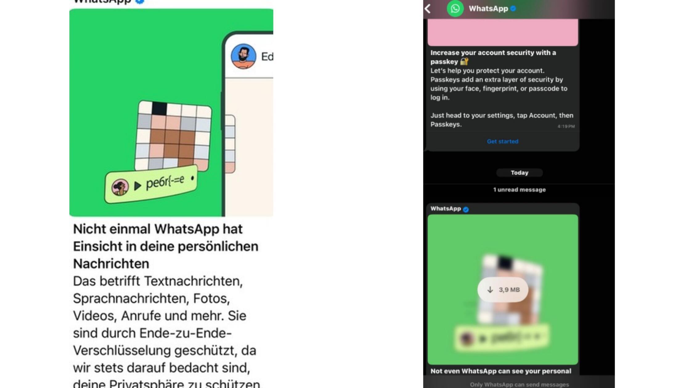 2025-06-05_09-47_collage