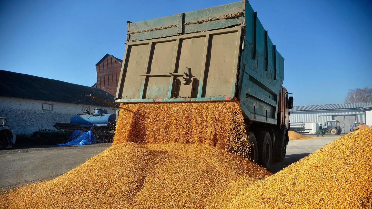 Agrarexporte der Ukraine haben für Unmut bei Bauern in der EU gesorgt. (Archivbild) Agrarexporte der Ukraine haben für Unmut bei Bauern in der EU gesorgt. (Archivbild)